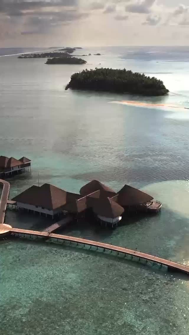 A refined dining experience inspired by Japanese precision and the flavours of the ocean. Discover elevated island dining at Tai at COMO Maalifushi.

#COMOMaalifushi #TaiRestaurant #JapaneseCuisine  #
