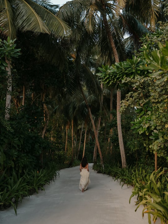 Photo shared by Marta Droździel on May 21, 2026 tagging @comomaalifushi. May be an image of wallaby, park, palm trees and text.