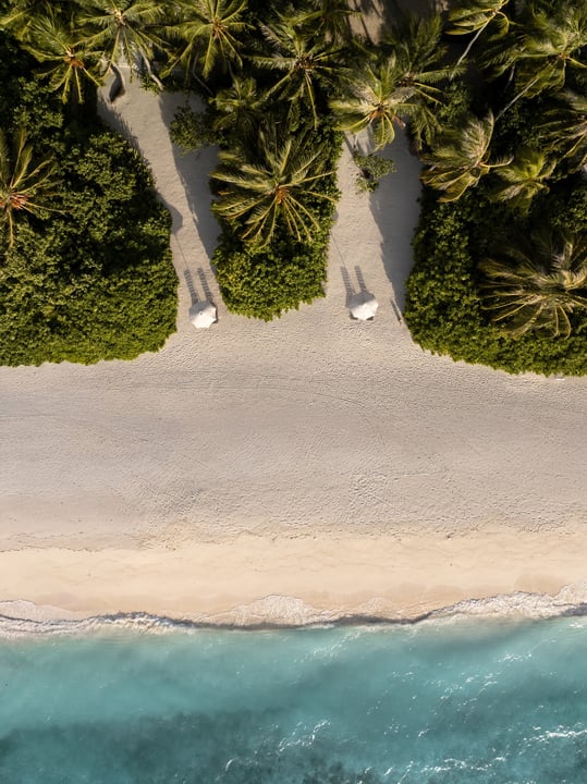 Photo by COMO Maalifushi on August 08, 2026. May be an image of ocean, beach, nature, palm trees, water and text.