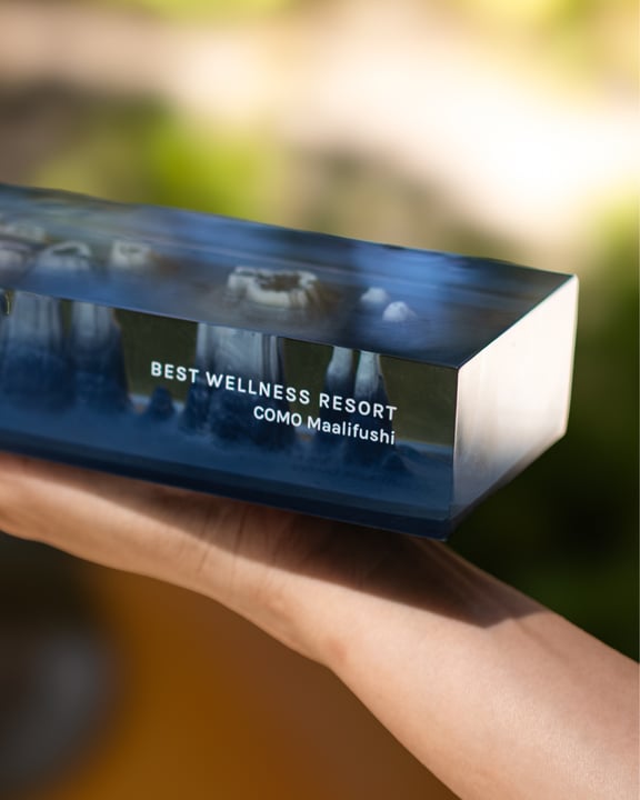 Foto di COMO Maalifushi del 12 settembre 2026. Potrebbe contenere un'immagine di filo interdentale e testo che dice "BEST WELLNESS BESTWELLNESS WELLNESS MOMaalifushi RESORT como Maalifushi".