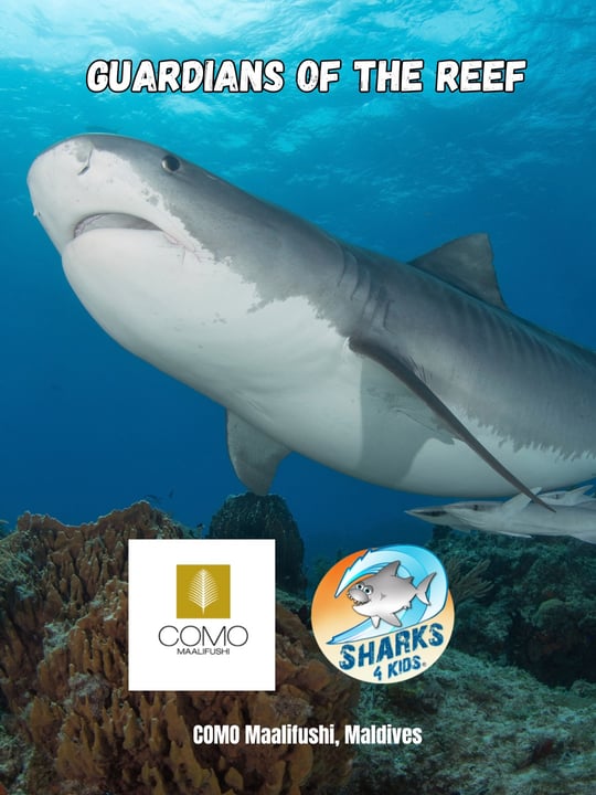 Rejoignez nos fondateurs @biminisharkgirl et @underwatercameraman pour le voyage d'une vie dans le cadre époustouflant de @comomaalifushi, Maldives.
 20 oct-2 nov 2026

 Éducation sur les requins, activités interactives, sn