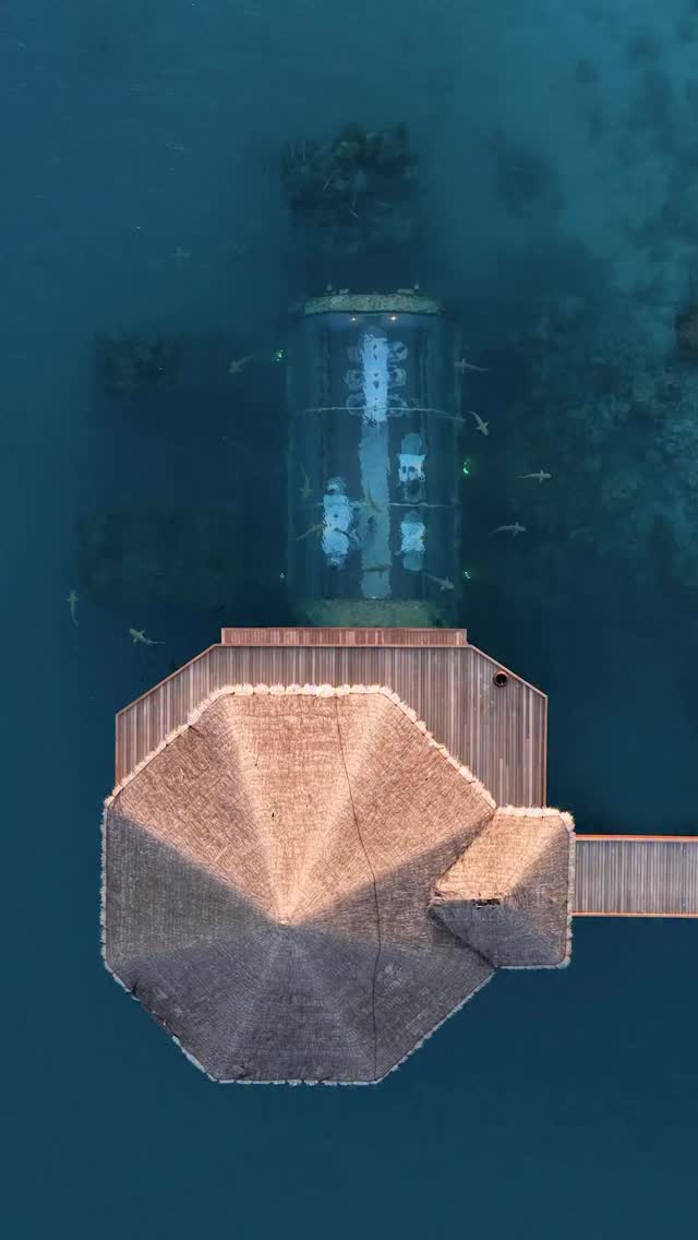 In a cellar like no other, a transformation is underway: Dom Pérignon, aging in the midst of the reef at Ithaa. 

Emerging from the sea this December.