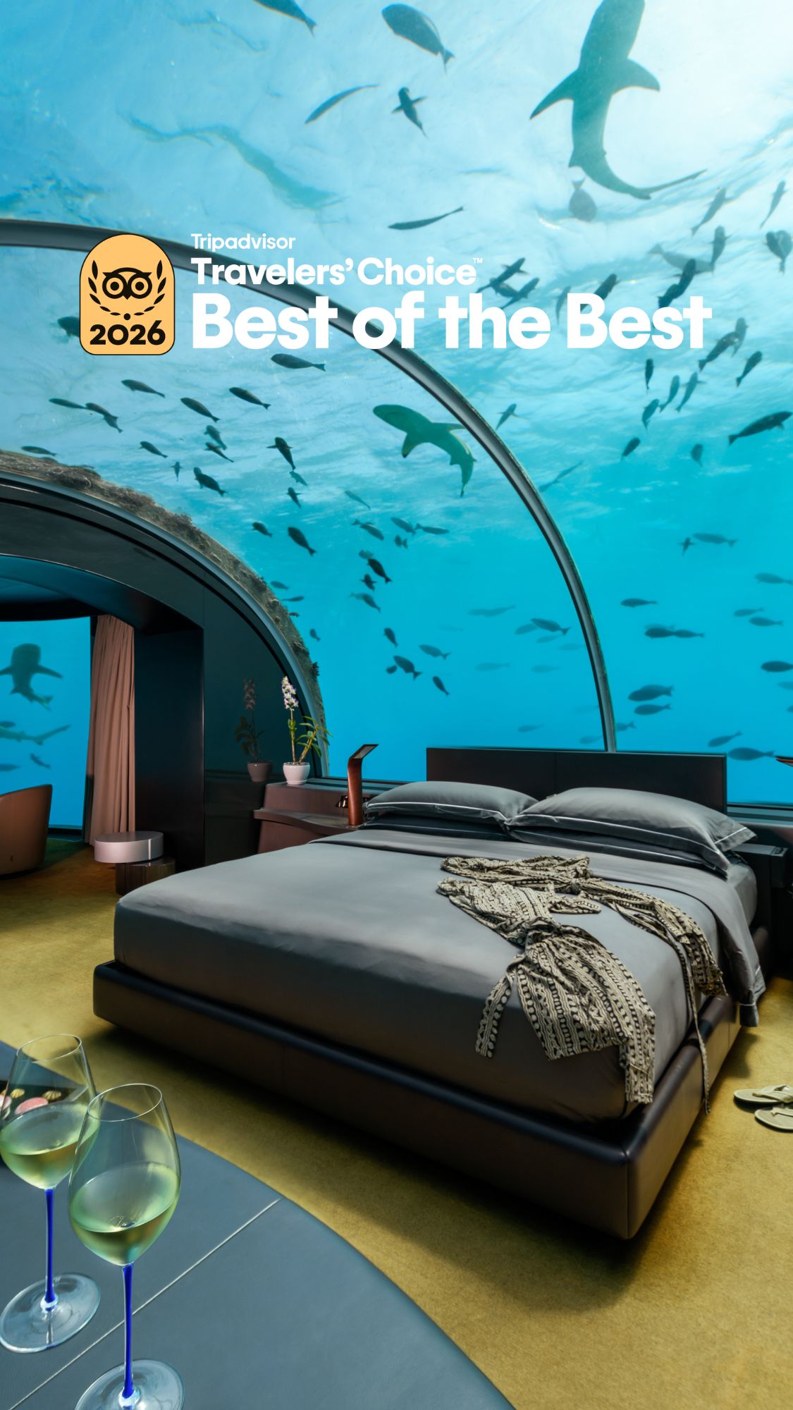 One of a kind, indeed. 💙

Conrad Maldives Rangali Island is honored to be recognized in Tripadvisor’s Travelers’ Choice Best of the Best Hotels 2026, ranking #15 in the “One of a Kind - World” catego