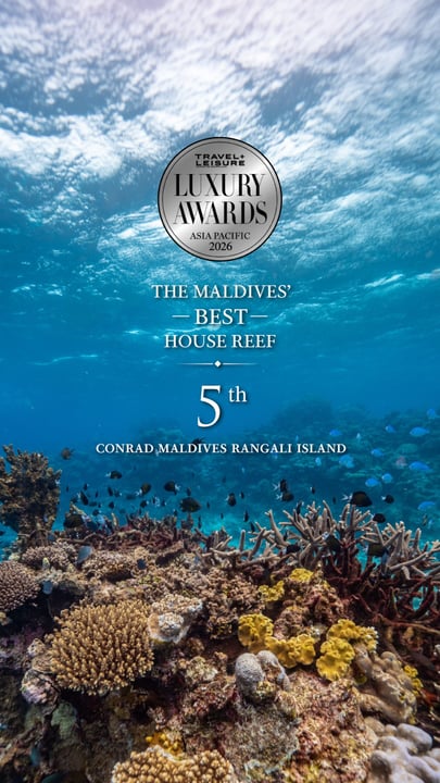 Gleich hinter dem Ufer erwacht eine andere Seite der Insel zum Leben.

Wir sind stolz, bei den Travel + Leisure Luxury Awards Asia Pacific 2026 den 5. Platz für das Beste Hausriff der Malediven zu belegen.

Unser Haus