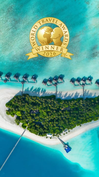 Nous sommes honorés d'avoir été désignés lauréats aux World Travel Awards 2026 dans quatre catégories :

🏆 Maldives' Leading Honeymoon Resort
🏆 Indian Ocean's Leading Hotel
🏆 Indian Ocean's Leading Honeymoon Re