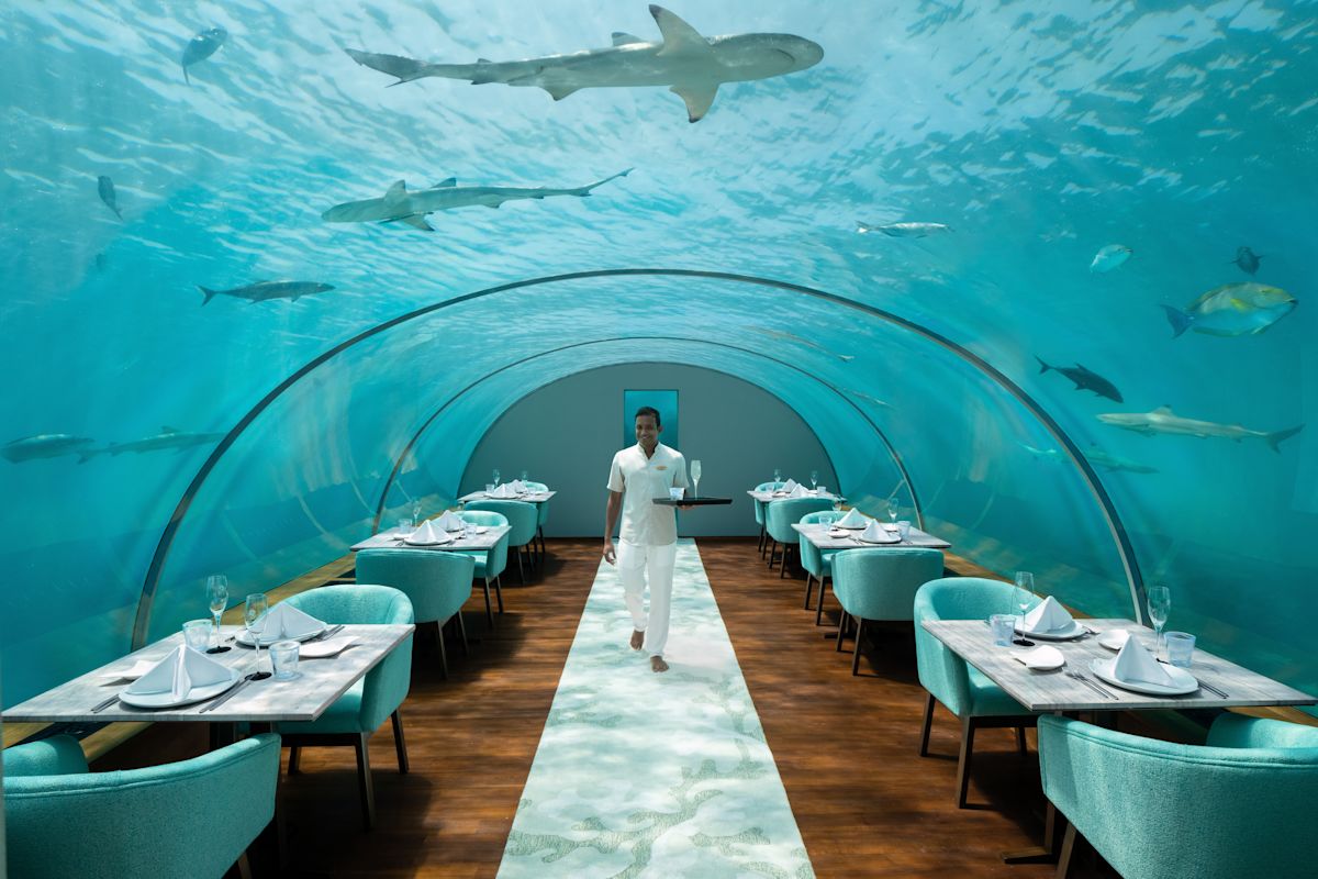 Ithaa Undersea Restaurant restaurant