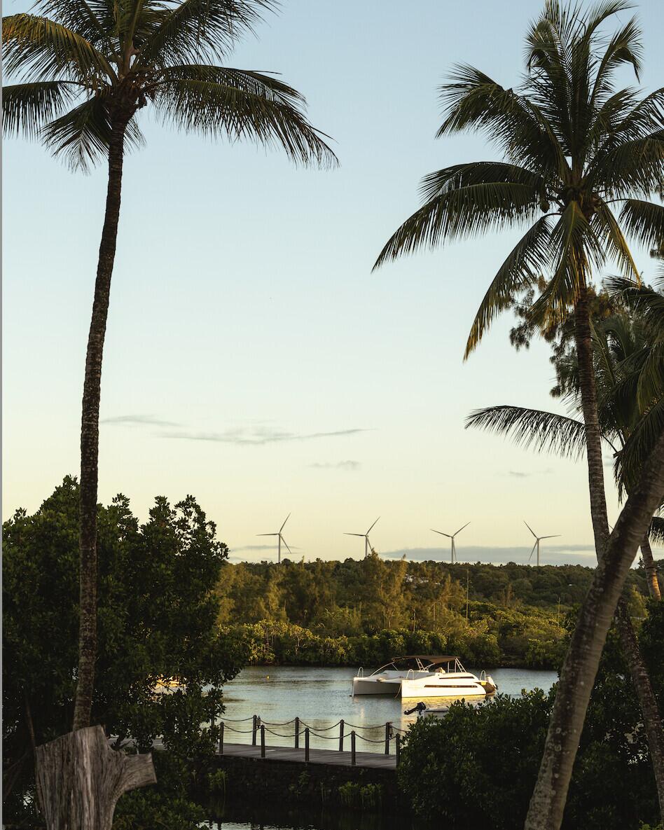 Photo by Constance Hotels & Resorts on June 11, 2026. May be an image of sea bird, palm trees and text.