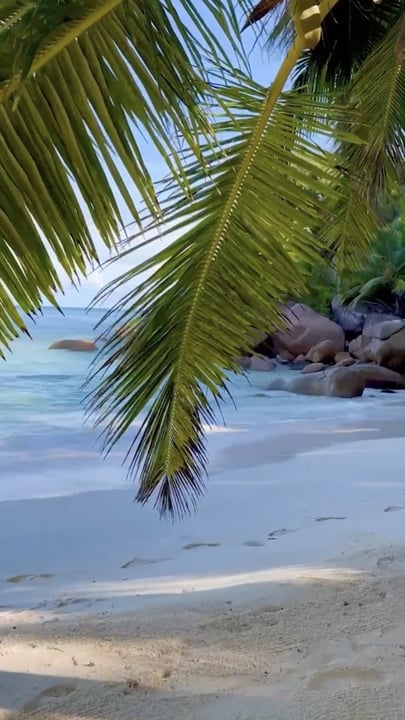 Espérons que ce Reel vous trouve bien 🌴🤍

Considérez ceci comme un petit rappel : quelque part aux Seychelles, les palmiers se balancent, la mer scintille et la plage attend.

Une journée comme une autre à #Cons