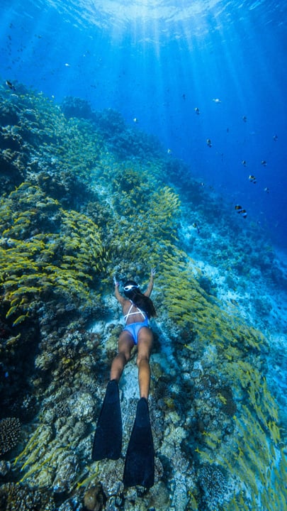 Der Ozean ruft. 💙

Entdecken Sie versteckte Sandbänke, schnorcheln Sie inmitten einer lebendigen Unterwasserwelt und erleben Sie die Malediven so, wie sie erlebt werden sollten.

📸 @alejandro_n_marina

#ItsFreedomTime #C