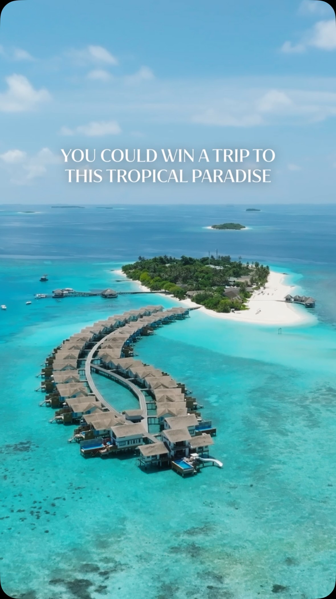 You could win a tropical trip🏝️ for two to @coracoramaldives ® Maldives 🇲🇻 Simply buy any SHEBA® product on @amazonuk 🇬🇧