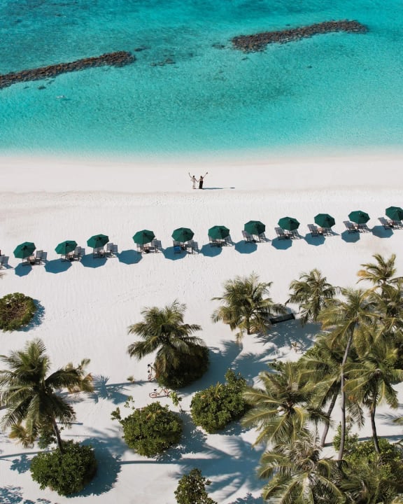 Photo by SAii Lagoon Maldives, Curio Collection by Hilton on June 18, 2026. May be an image of chaise longue, ocean, beach, palm trees and text.