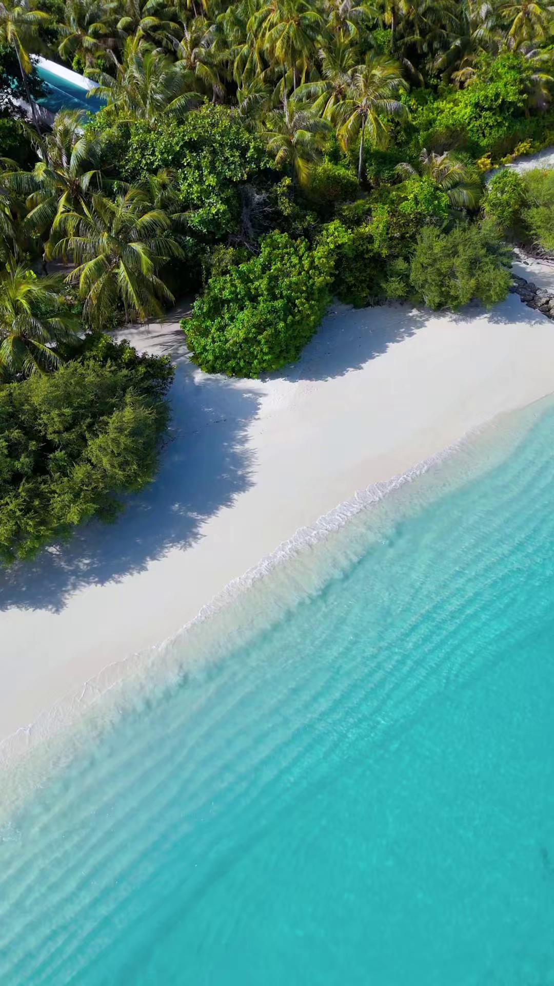 On this #WorldEnvironmentDay, we celebrate the wild, the free, and the beautifully untouched. Every ripple, every shade of blue, every moment like this is a reminder of what we’re here to protect. Bec