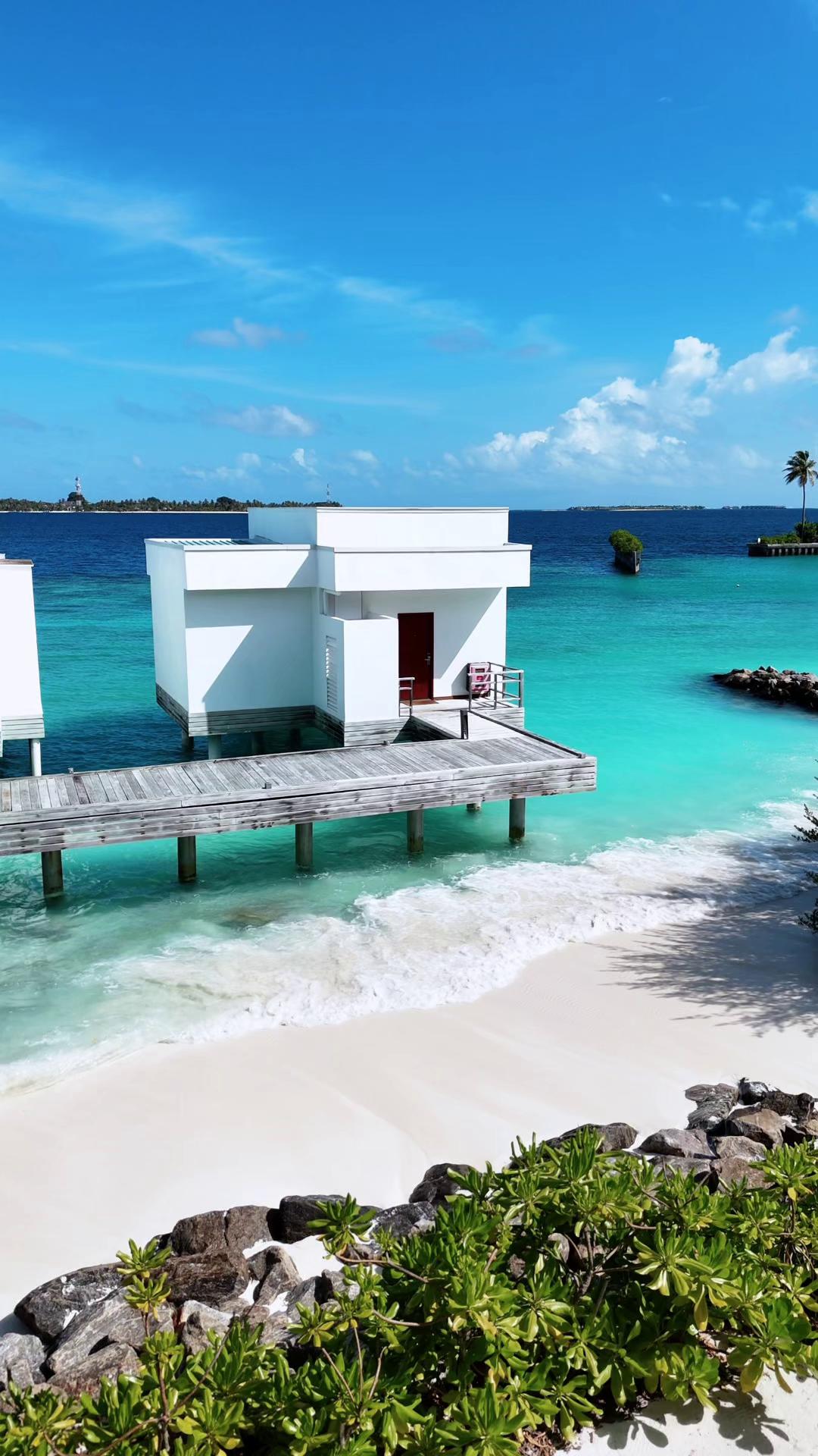 Nah genug, um die Wellen zu hören, fern genug, um den Rest zu vergessen. 💙 Das Leben verläuft anders über dem Wasser. Wer kommt mit Ihnen?

#NivaDhigali #WaterVilla #MaldivesResort #VisitMaldives #Paradise