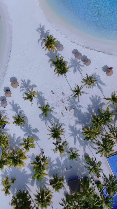 There's something about the beach that makes strangers feel like old friends. Maybe it's the games, the laughter, or simply the magic of being here together. Whatever it is, we're here for every momen