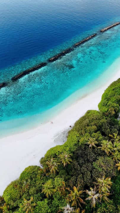 No plans. No rush. Just a long walk, a warm breeze, and the one you’d choose to wander with. 🌴

#NivaDhigali #MomentsThatStay #Maldives #Paradise #MaldivesResort