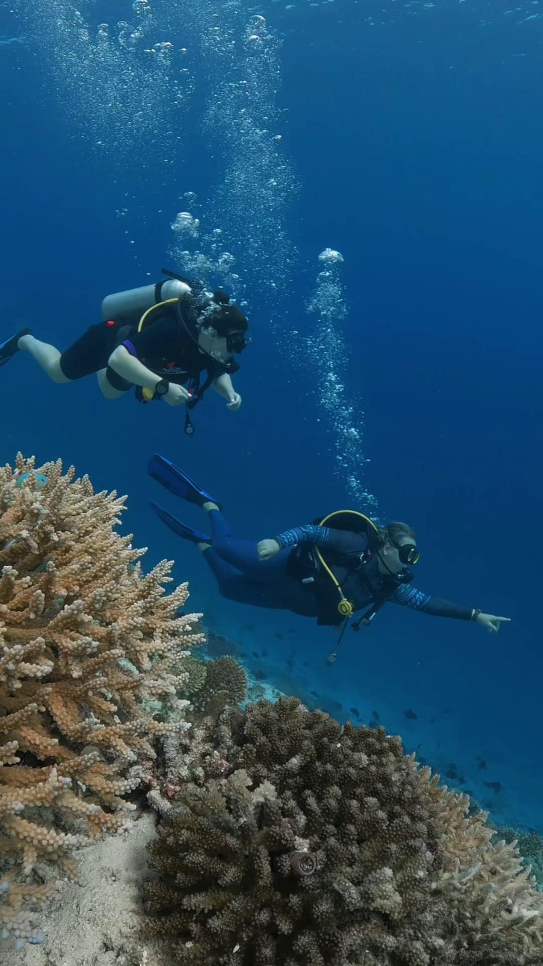 E se la tua prossima avventura fosse proprio sotto la superficie? 🤿 Immergiti nel blu e scopri un lato tutto nuovo di Niva Dhigali - reef colorati, vita marina curiosa e la quieta magia dello stare sotto