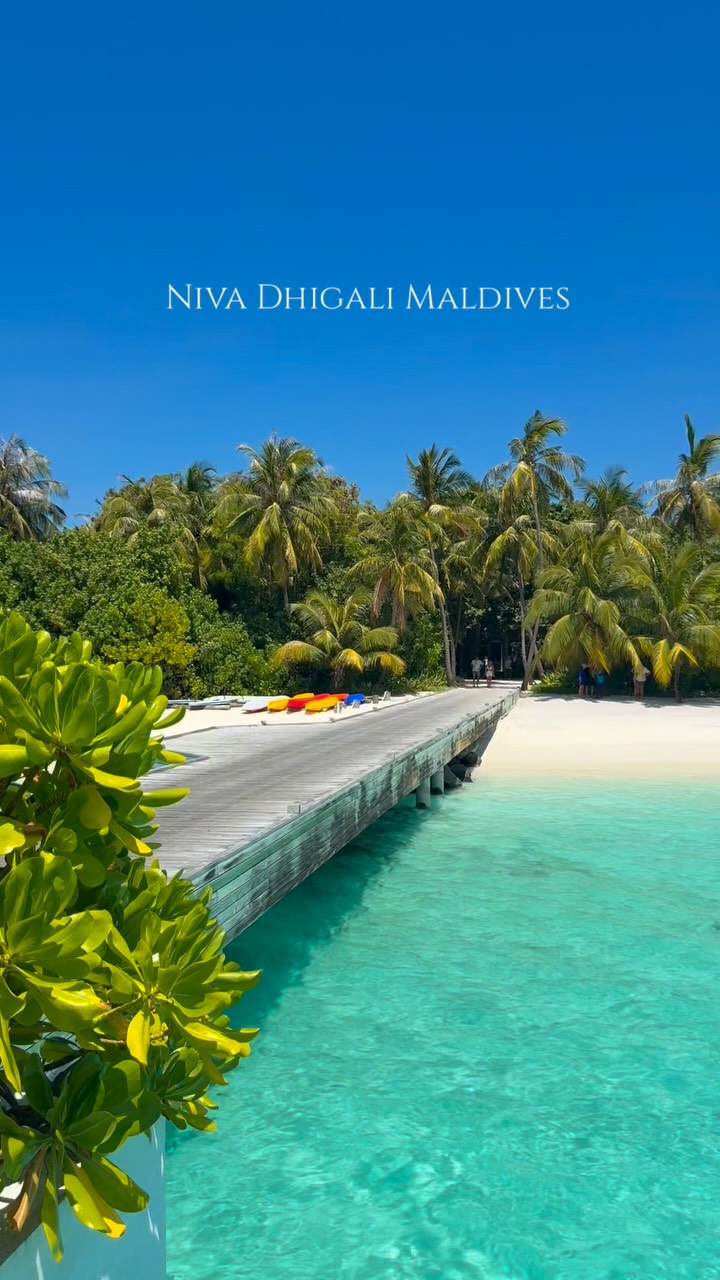 Niva Dhigali Maldives 🌴 è un paradiso nascosto dove la bellezza della natura si svela nella sua forma più pura. Circondato da acque turchesi cristalline, spiagge di sabbia bianca incontaminata e una tropica