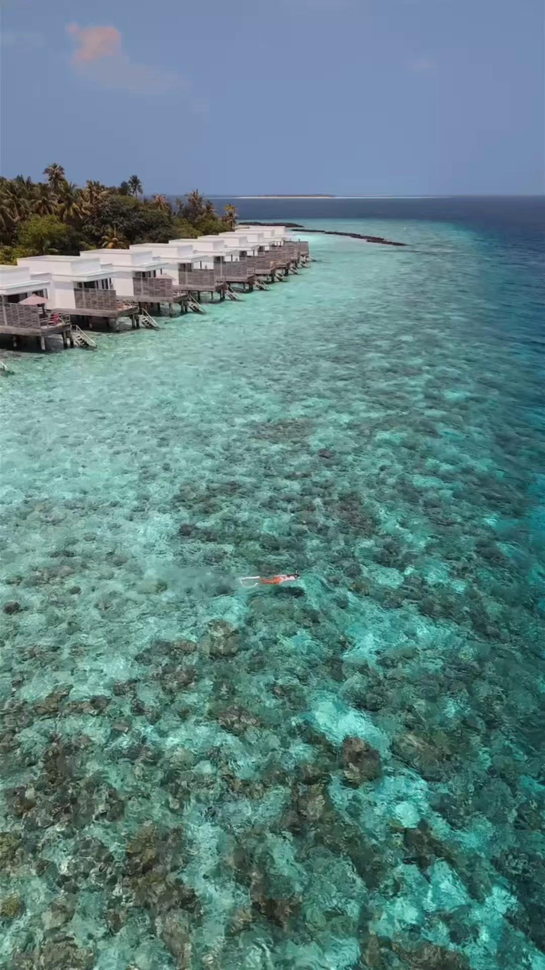 This is why we keep our oceans clean. 🌊 So we can dive into clear blue waters, swim alongside marine life, and keep discovering the magic beneath the surface.

The ocean gives us so much to enjoy. Le