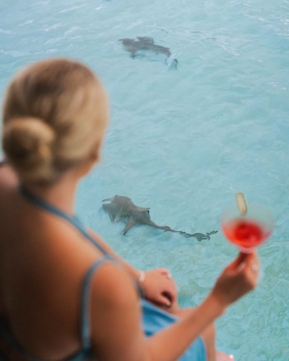 Photo by Diamonds Athuruga on June 03, 2026. May be an image of swimming, dolphin, shark, strawberry daiquiri, water and text.