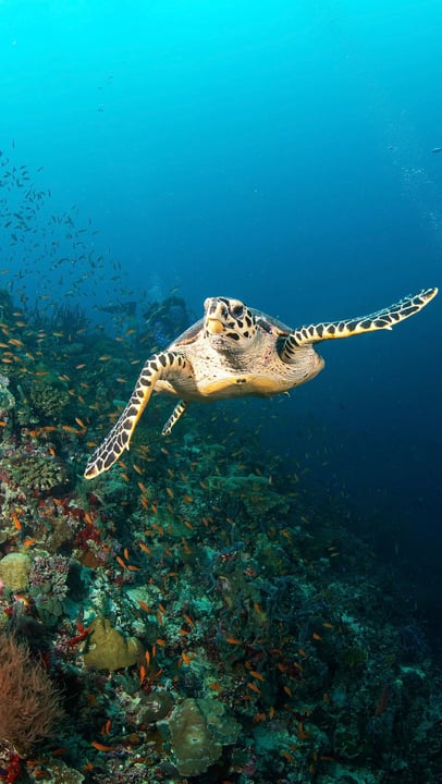 Taking a moment to breathe, taking in the beauty that surrounds us every day.

This World Oceans Day, we’re celebrating our incredible blue planet by deepening our commitment to protect it. Our key in