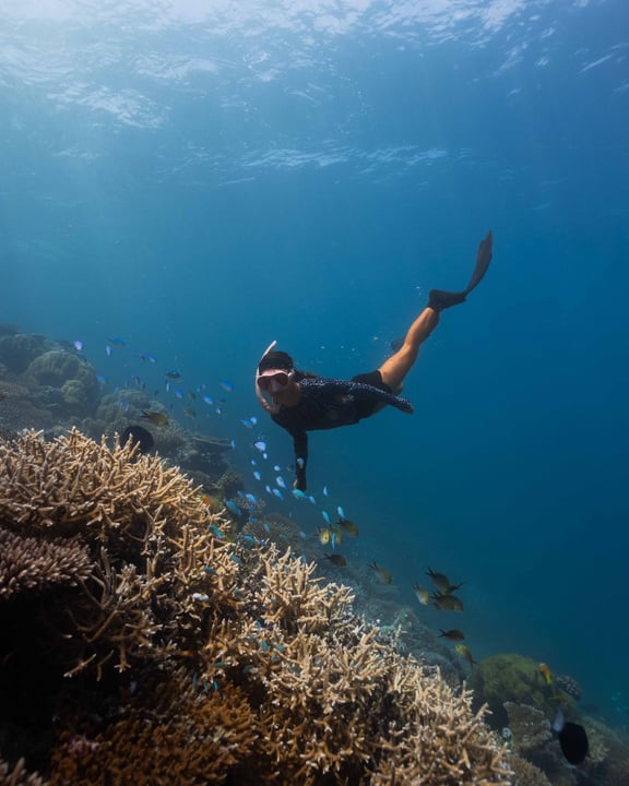 Découvrez un monde sous-marin vibrant à quelques pas de nos rivages. 🌊 Le récif maison de Diamonds Athuruga vous invite à explorer ses coraux colorés et sa faune marine abondante, à portée de main d