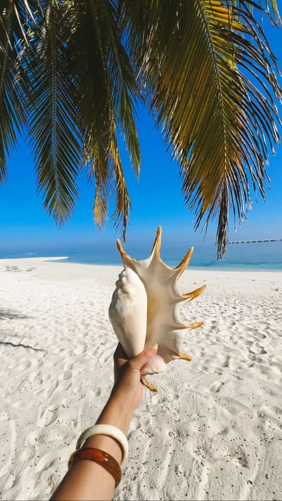 Maldives together? Send this to someone you want a tropical escape with! 💙

Welcome to Diamonds Thudufushi ☀️
Would you stay here?

#beautifuldestinations #maldives #tropical #luxuryhotel #travel