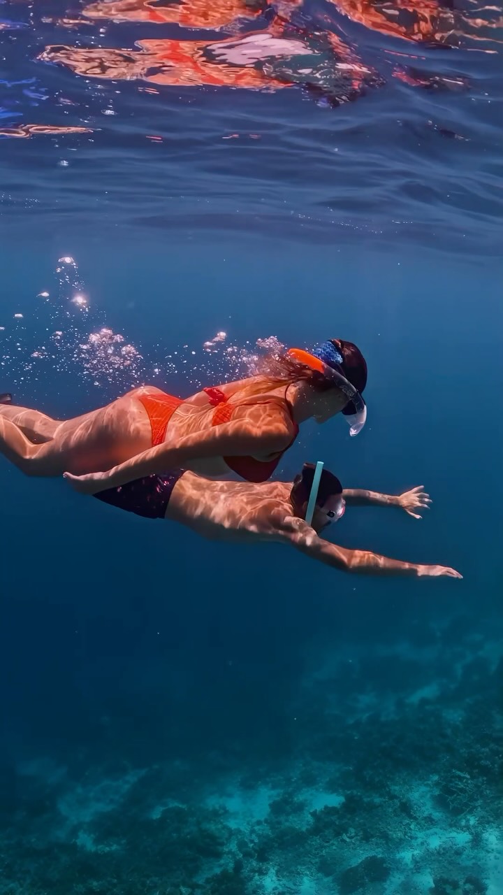 Nous sommes ravis de partager que Diamonds Thudufushi a été distingué aux World Travel Awards 2026 🏆

✨ Indian Ocean's Leading Dive Resort 2026
✨ Maldives' Leading Beach Resort 2026

Depuis notre vibra