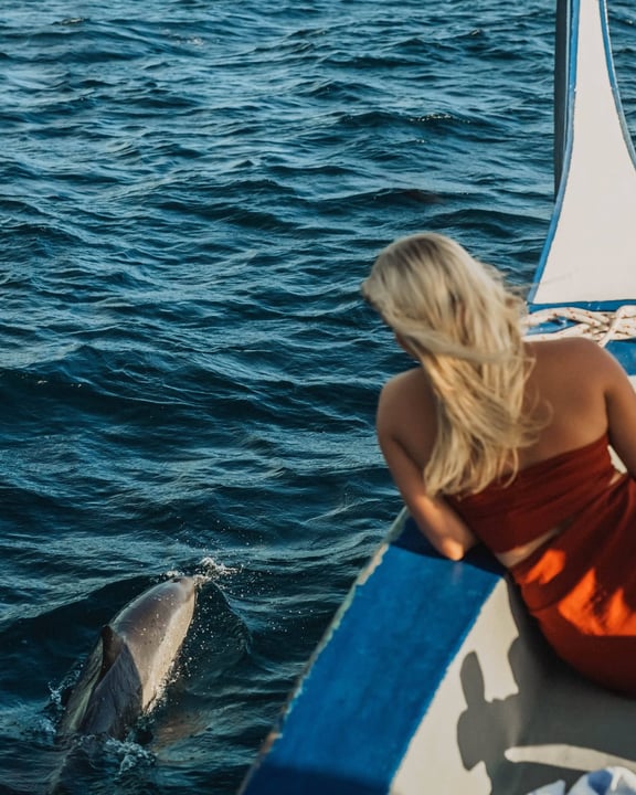 Foto di Diamonds Thudufushi del 17 settembre 2026. Potrebbe essere un'immagine di delfino, acqua e testo.