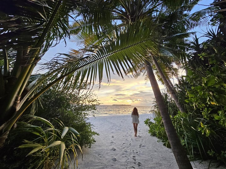 Where the palms frame the view, the ocean whispers, and every step leads you closer to paradise. 🌴🌅 A glimpse of the breathtaking beach and ocean view from our Beach Rooms at Dreamland Maldives. You