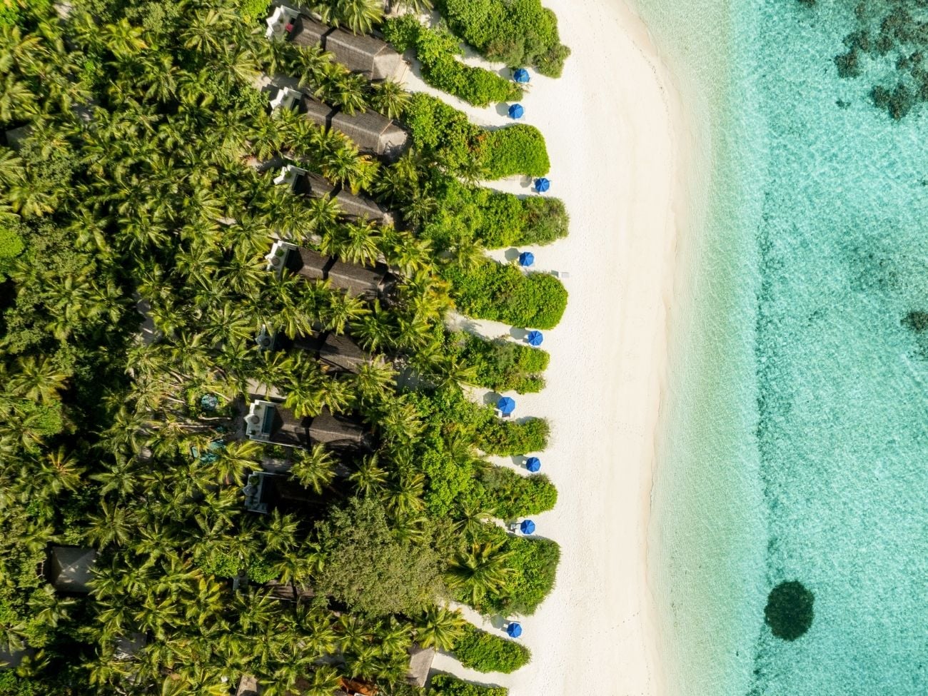 Beach Plunge Pool Villa im Dusit Thani Maldives