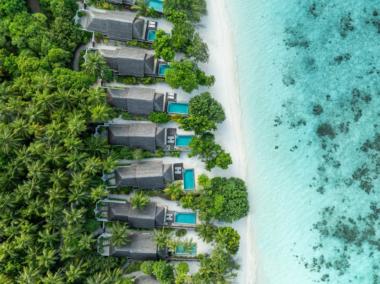 Beachfront Pool Villa im Dusit Thani Maldives