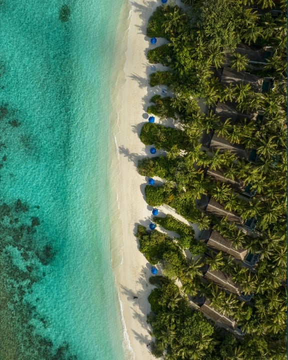 In the Maldives, the horizon opens. 

Light drifts across the water, where quiet refinement meets vibrant energy, from @dusitthanimv in Baa Atoll to @dusitd2_maldives just moments from arrival. 

Dist