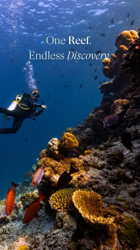 We are proud to share that Dusit Thani Maldives has been nominated for Best House Reef at the TTM Awards 2026. 🌊🐢

Home to vibrant marine life in the UNESCO Biosphere Reserve of Baa Atoll, our house