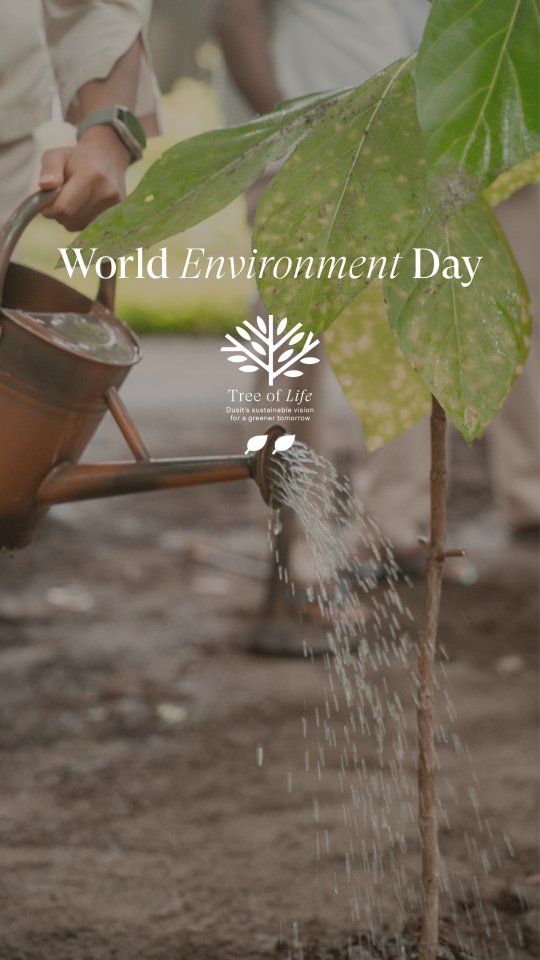 Rooted in care for our island home. 🌱

In recognition of World Environment Day, our resort management team came together for a meaningful tree planting activity at Dusit Thani Maldives.

A small acti