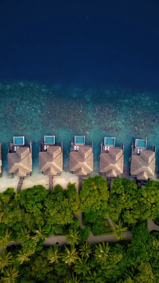 Wo die Insel auf das Riff trifft, beginnt eine ganz neue Welt.

Treten Sie von üppigen tropischen Ufern in klares türkisfarbenes Wasser, wo lebendiges Meeresleben gleich hinter dem Strand wartet.

Entdecken Sie die natürliche Schönheit
