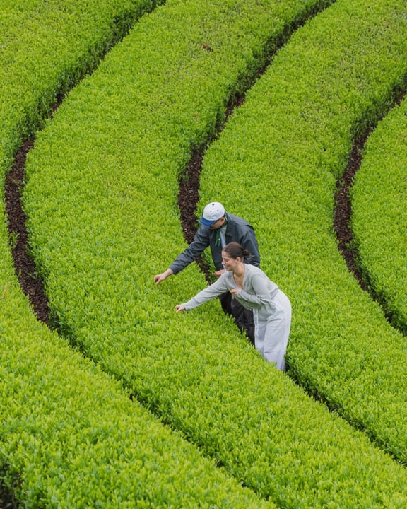 Every harvest begins long before the table is set. Across each address, the land is tended with patience, and the reward arrives only in its own season. This is where the story starts.

At @dusitd2.ja