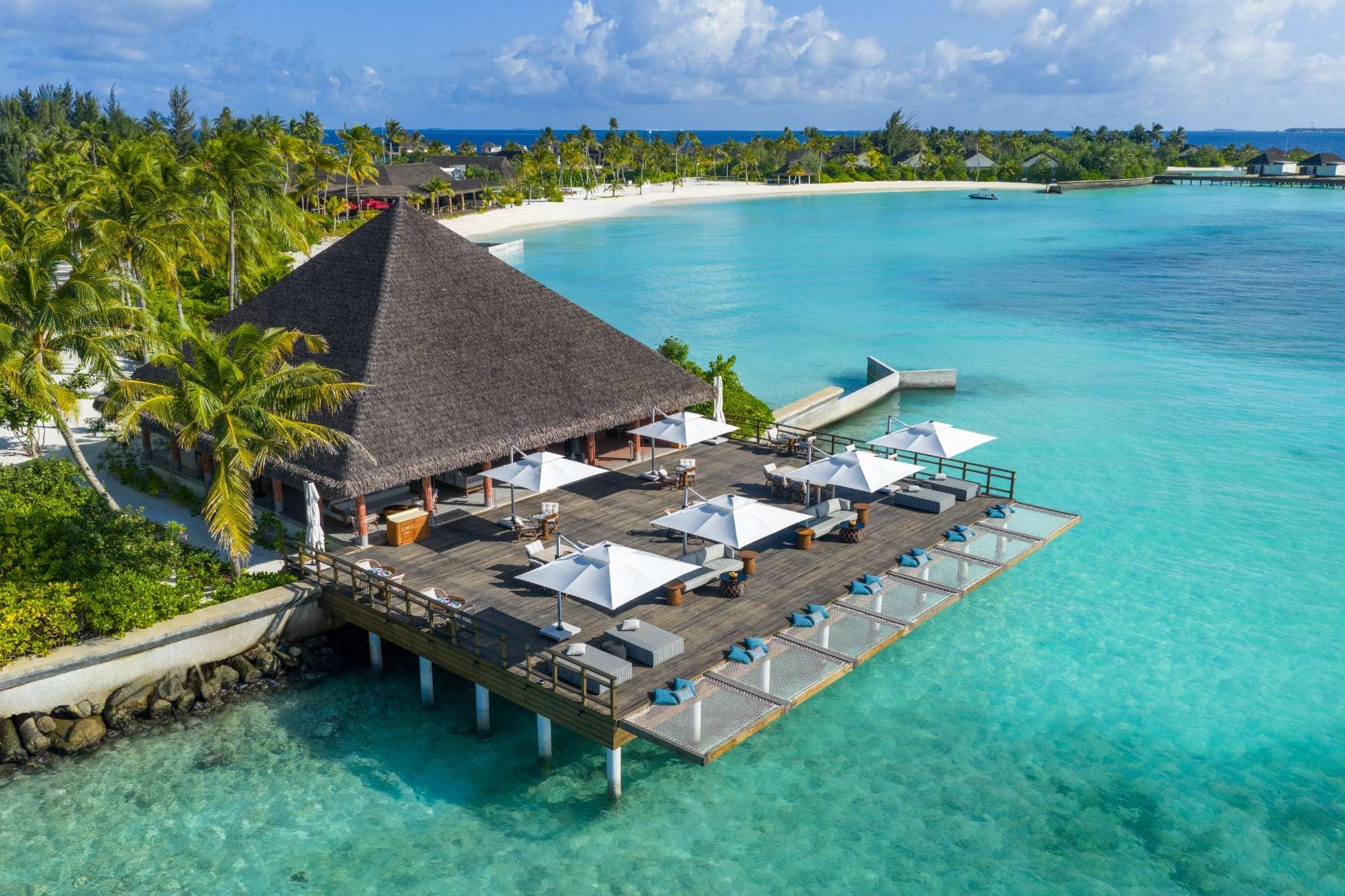 Cocoon restaurant