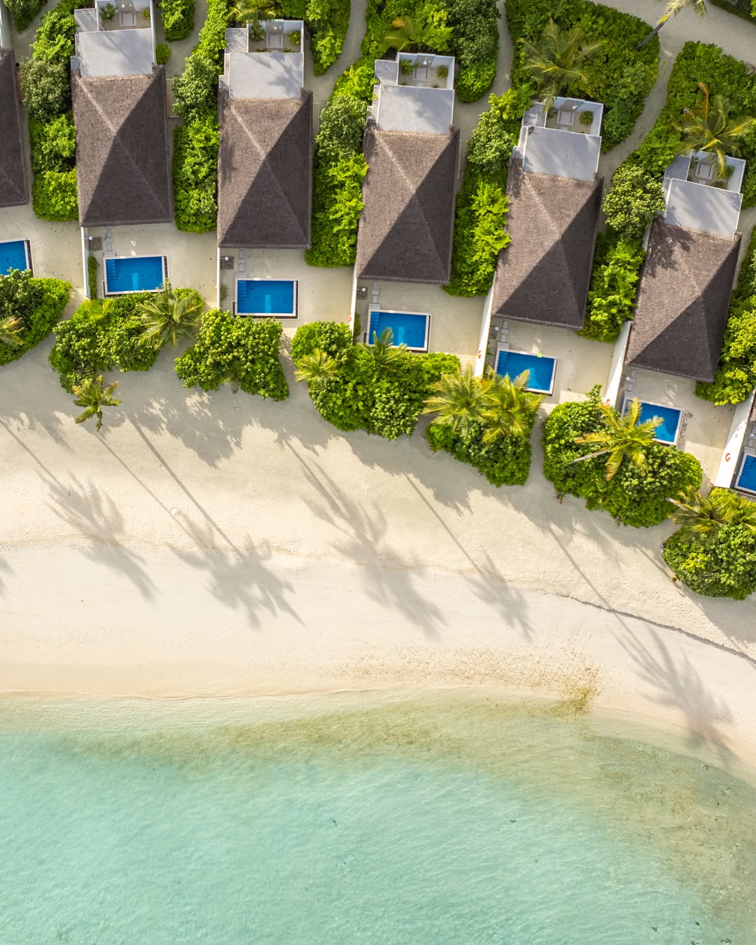 Quand l'art de vivre insulaire rencontre un paradis moderne. 🌅✨ ​
​
Conçue pour des instants sans effort, notre Beach Villa with Pool allie une hospitalité chaleureuse à des vues vibrantes sur l'océan. Posez le pied sur le sable fin et direct