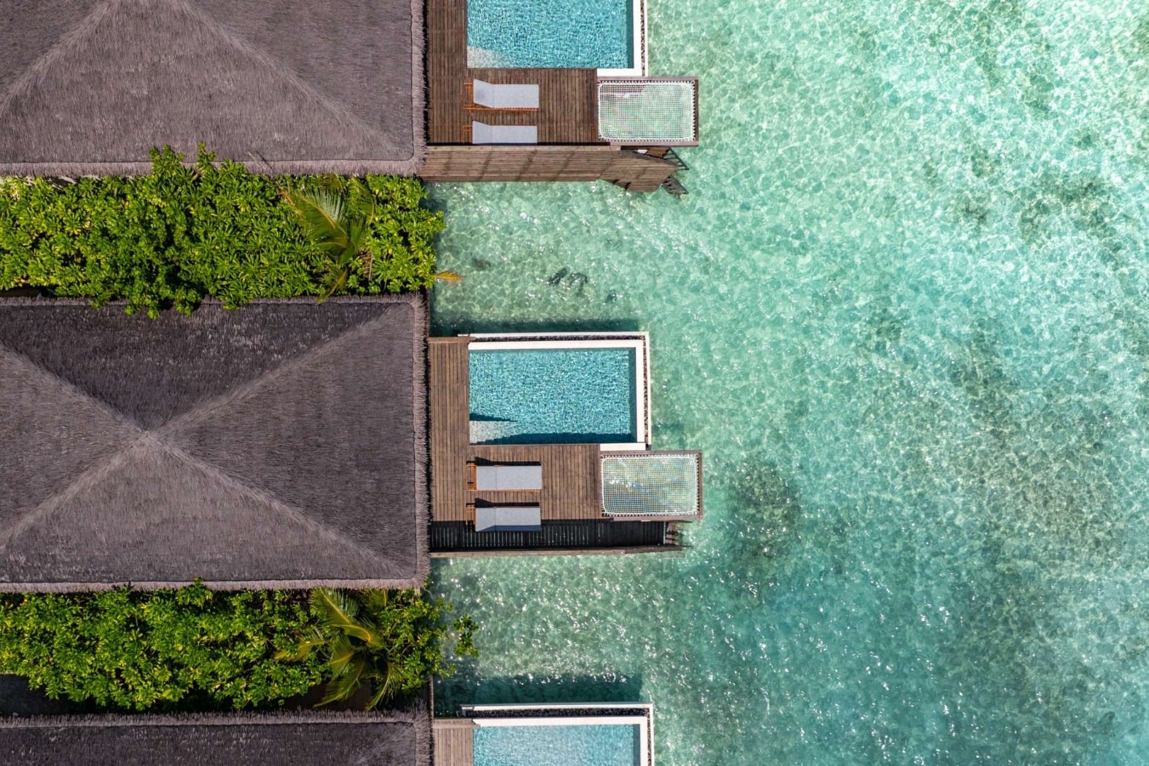 Waterfront Pool Villa im DusitD2 Feydhoo Maldives