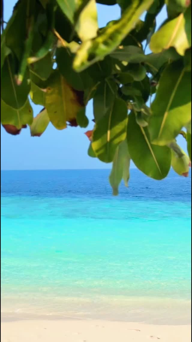 Turquoise views, quiet shade, and a total Maldives state of mind. 

#emeraldmaldivesresortspa #NaturalElegance #NaturalFreedom #emeraldmaldives #LeadingHotelsoftheWorld