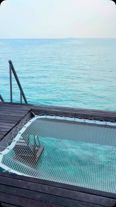 Sospeso sopra il paradiso. Quale libro porti da leggere qui?

#emeraldmaldivesresortspa #NaturalElegance #NaturalFreedom #emeraldmaldives #leadinghotelsoftheworld