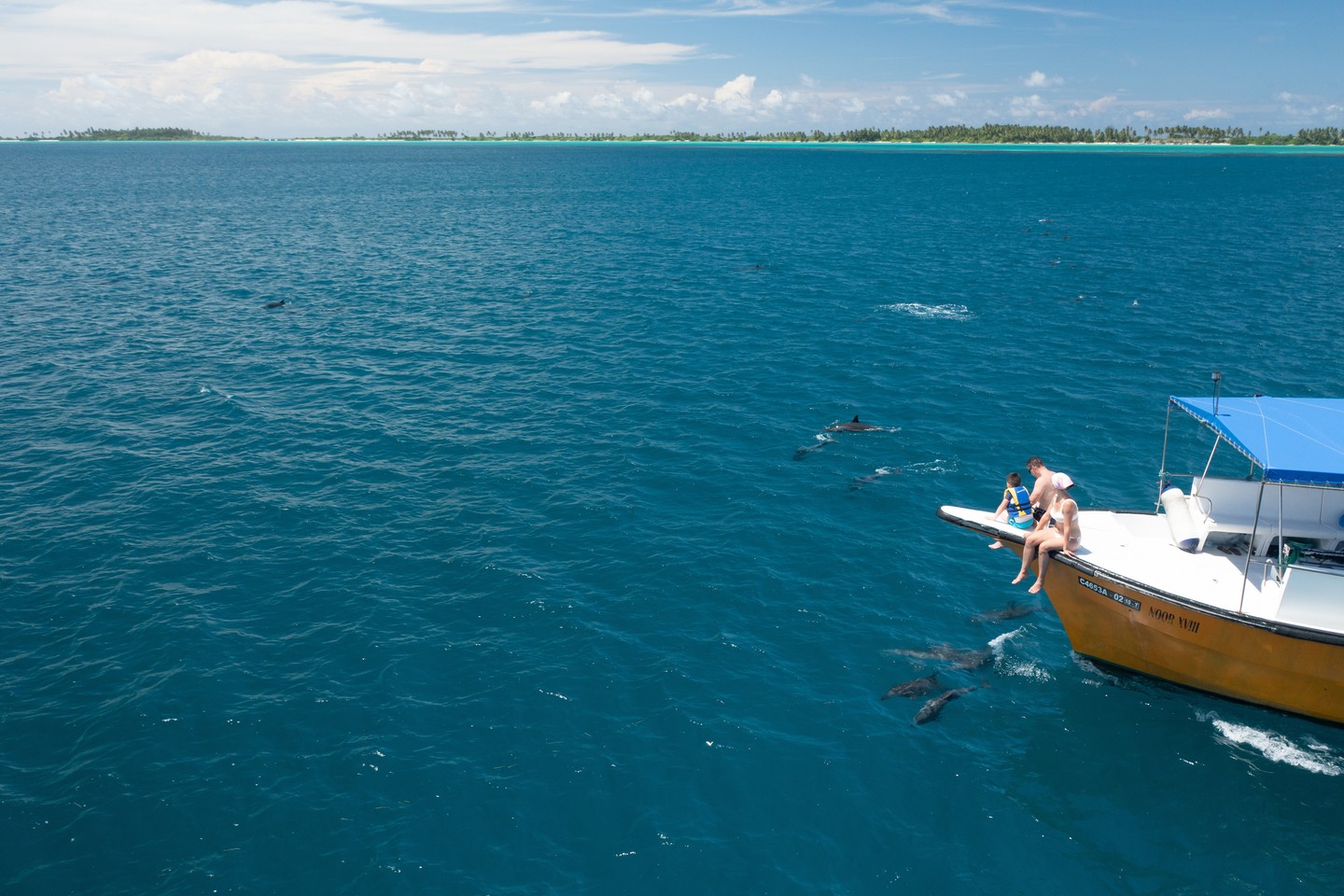 Foto di Equator Village Maldives del 06 settembre 2026. Potrebbe essere un'immagine di nuoto, balena grigia, delfino, moto d'acqua, vela, speedboat, yacht, oceano, acqua e testo.