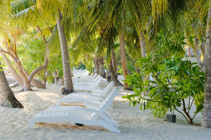 Foto di Equator Village Maldives a Equator Village. Potrebbe essere un'immagine di sedia a sdraio, chaise longue, spiaggia e testo.