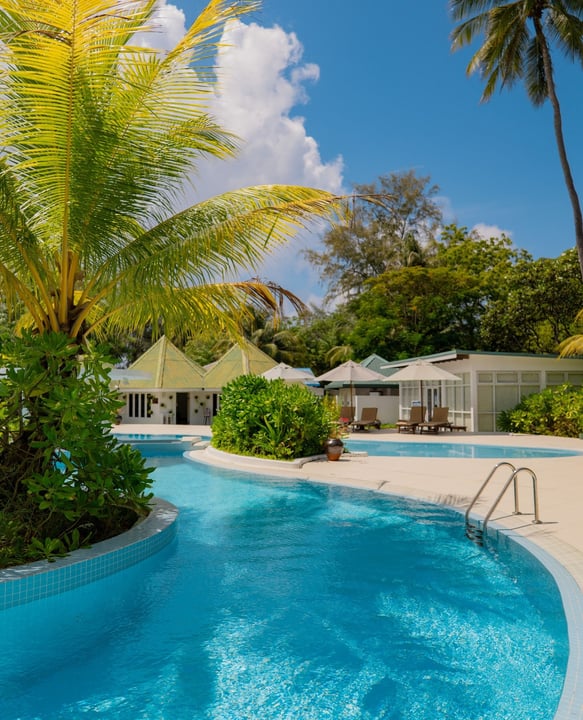 Célébrons le charme et la beauté de nos îles, ainsi que l’hospitalité sincère qui rend chaque séjour mémorable. Joyeuse Journée nationale du tourisme ! 🏝️⁠
⁠
#equatorvillage #anexoticadventure #maldives #nation