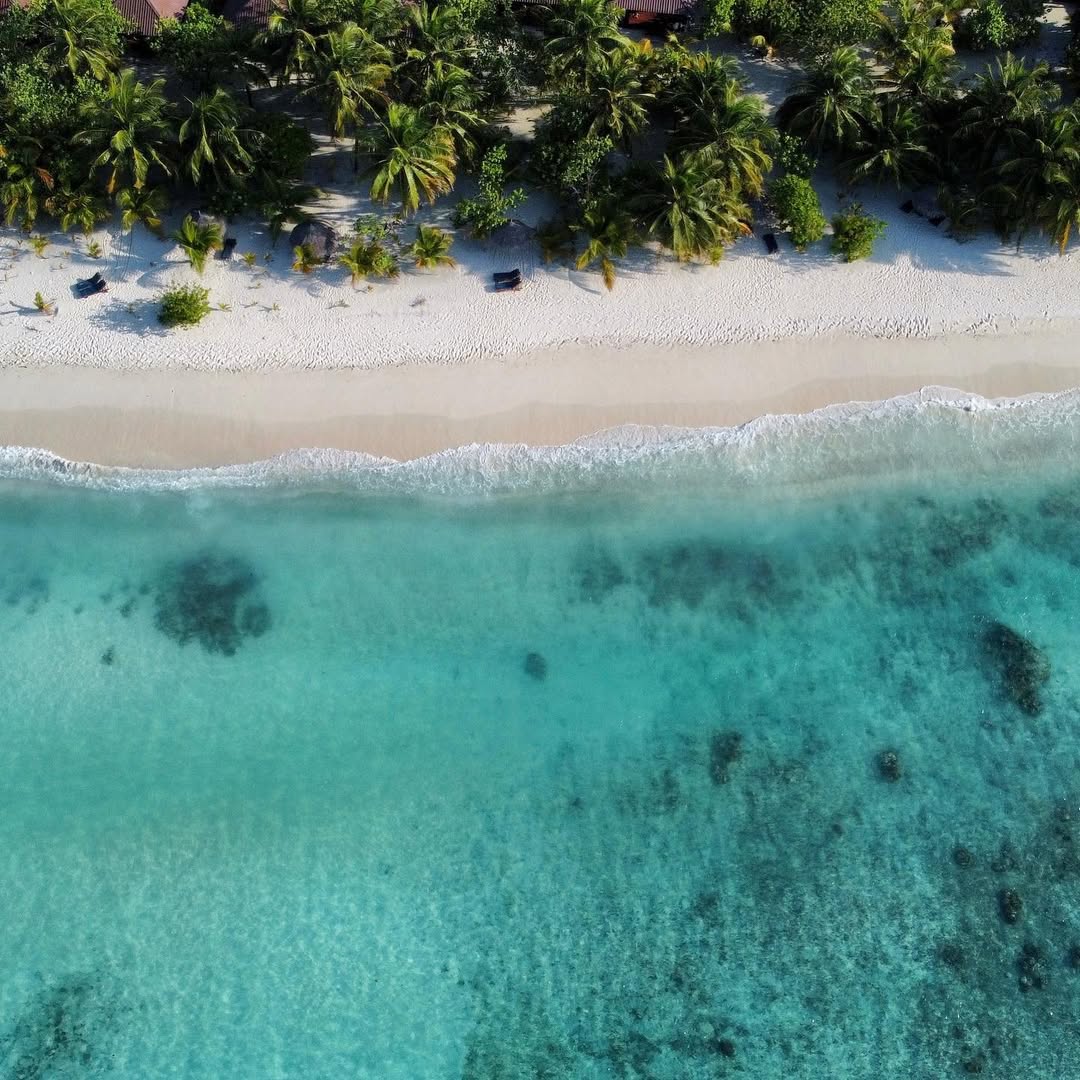 Photo by Filitheyo Island Resort on April 21, 2026. May be an image of beach, water, palm trees and text.