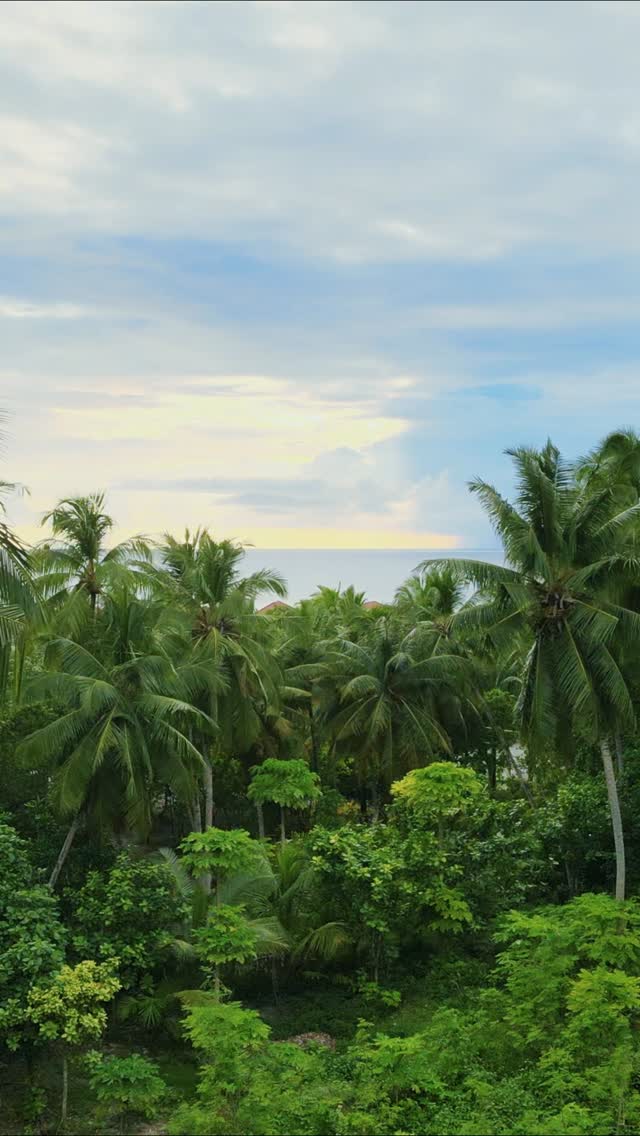 Protecting our planet starts with the choices we make today 🌍💚

This World Environment Day, we celebrate the beauty of nature and our commitment to preserving the paradise we call home for future ge