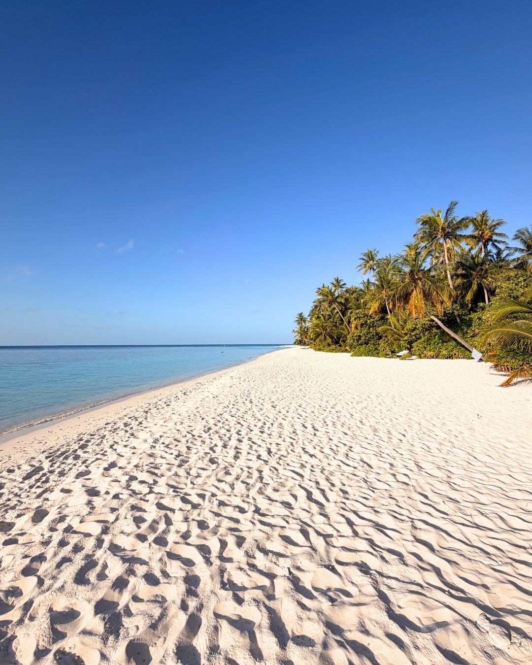 Photo by Filitheyo Island Resort on July 24, 2026. May be an image of beach, ocean, nature, water and text.