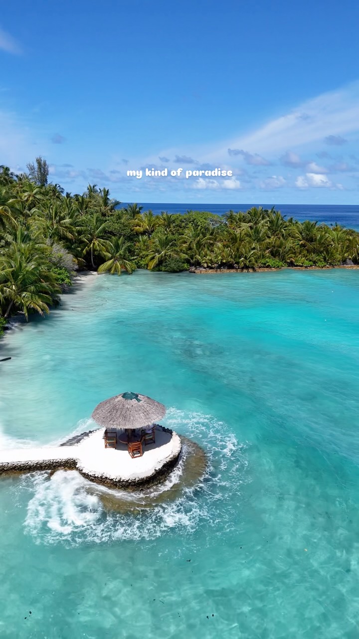 Filitheyo Island Resort, Maldive 🌴🤍
Definitivamente il mio genere di paradiso.

#maldives #tropicalisland #island #dronevideo #wanderlust