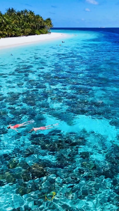 Là où le bleu infini rencontre un sable blanc et poudreux.

À Filitheyo Island Resort, ralentissez, respirez la beauté tropicale et laissez les eaux turquoise rythmer votre escapade insulaire.

Un petit 