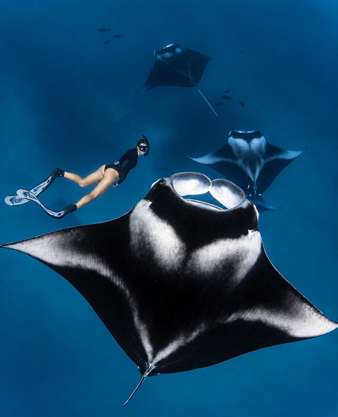 Foto di Finolhu, a Seaside Collection Resort del 16 settembre 2026. Potrebbe essere un'immagine di un animale acquatico e testo.